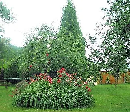 Bed & Breakfast Anousta